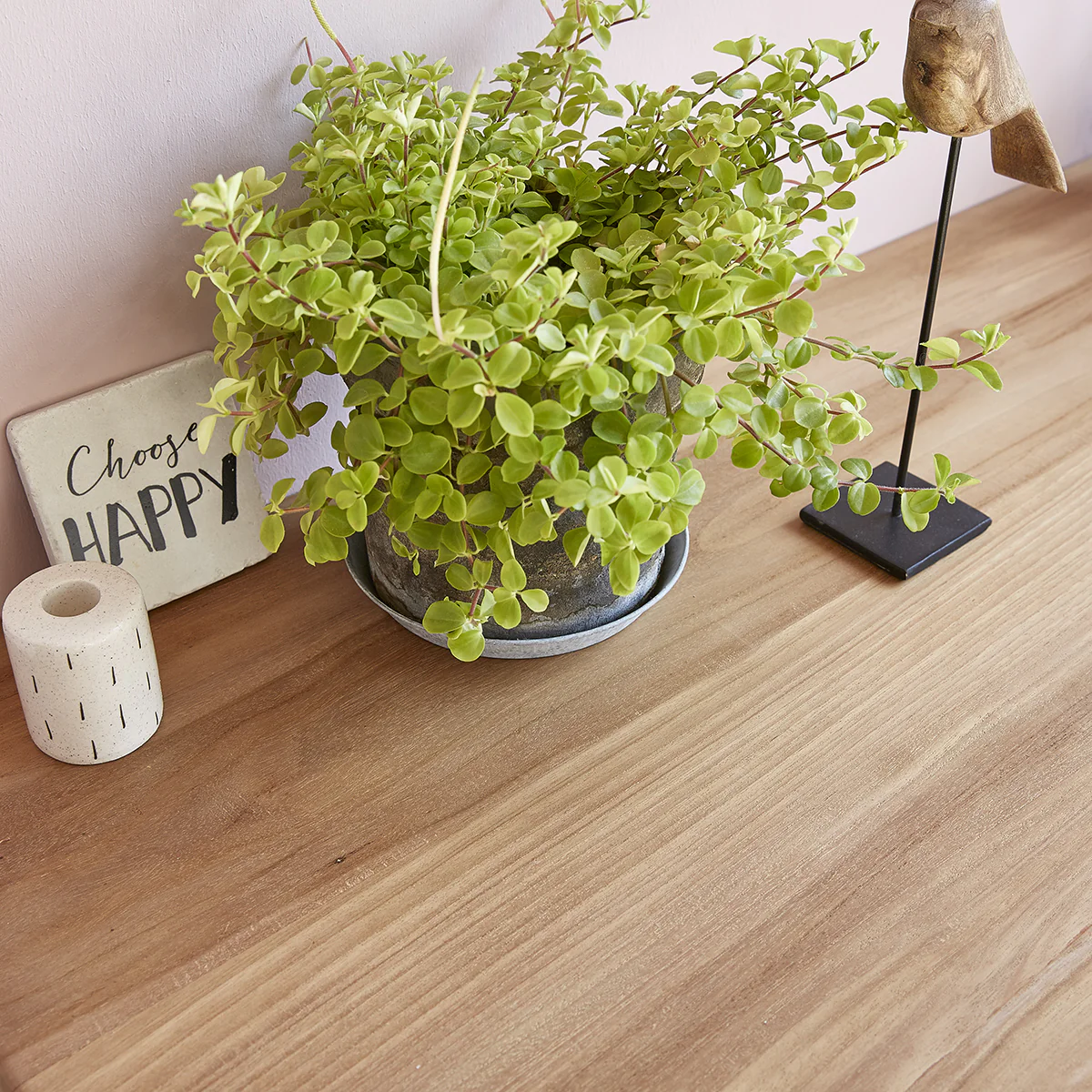 Immagine prodotto 6